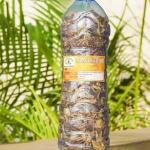 Halitose, Remède Naturel Mauvaise Haleine