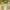 200 plantes amies prostate