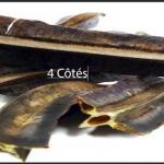Vertus 4 cotes Afrique bio, Remède Fibrome