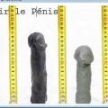 Agrandir son penis Rapidement
