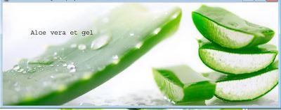 Aloe vera et gel