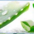 Aloe vera et gel