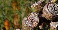 Amour 2