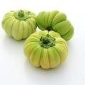 Guinea Pepper Against Condyloma