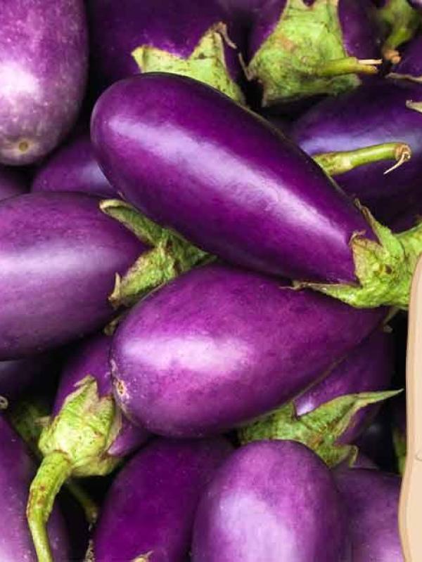 Aubergineeee