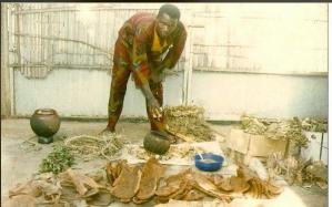 Boris à Bouaké en 1992,Préparation de Tisane