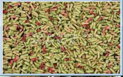 Cloves to stop drinking alcohol