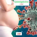 Cmv grossesse asb Traitement Naturel Virus Zika