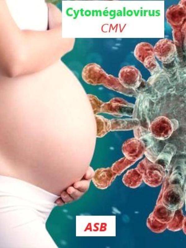 Cmv grossesse asb Traitement Naturel Virus Zika