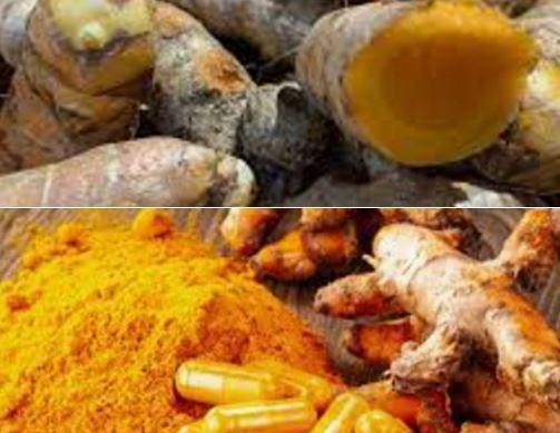 Curcuma Remède naturel urétrite