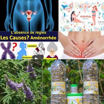 Comment soigner l´aménorrhée? Traitement 100 % Naturel