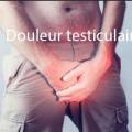 Douleur en bas douleur aux  testicules