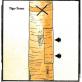 enlever-une-portion-d-ecorce-sans-tuer-l-arbre.jpg