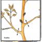 enlever-une-tige-avec-feuilles-sans-tuer-l-arbre.jpg