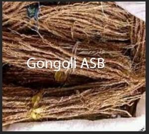Gongoli asb