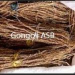 Gongoli to tighten vagina