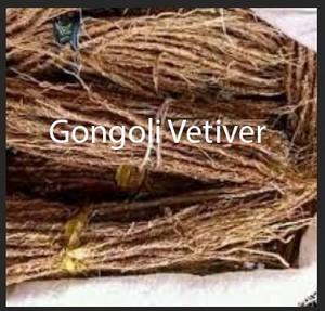 Gongoli vetiver Pour Tomber Enceinte
