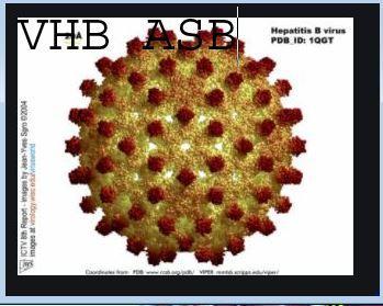 Hb h 1
