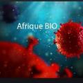 Le virus et le sida