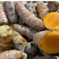 Les bienfaits du curcuma maladies soignees