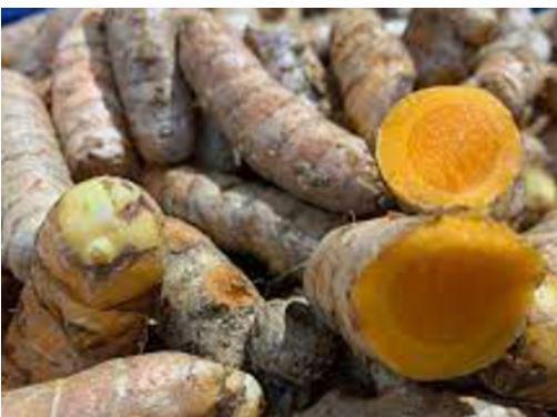 Les bienfaits du curcuma maladies soignees
