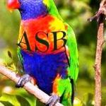 Logo p asb okjpg