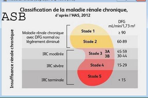 Maladies renales asb