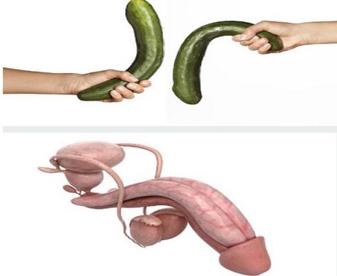 massage penis
