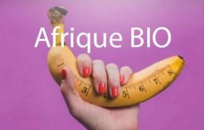 Mesure du penis et  Comment Faire Grossir pénis