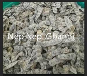 Nep nep gbanni Pour Prendre Grossesse