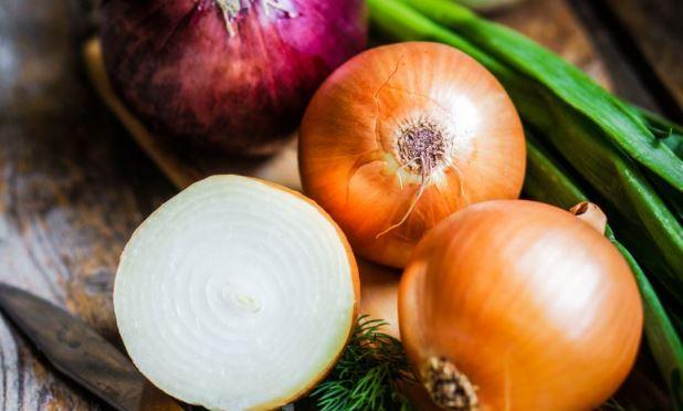 Oignons Pour Lutter Contre Aspergilloge