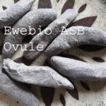 Ovule pour enlever les fibromes de l'utérus sans chirurgie