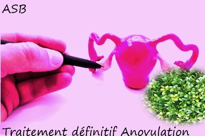 TRAITEMENT DE L'ANOVULATION