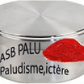 Paludisme copier 