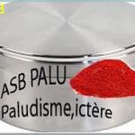 Paludisme tisane 38