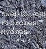 Comment Assécher un Fibrome Rapidement,Remède Naturel Myomes