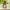 Savon gynecomastie 1