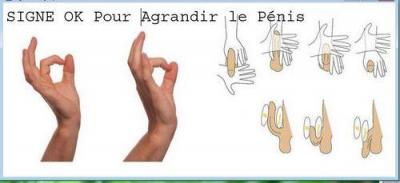 Signe ok pour agrandir le penis