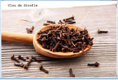 Speciel clou de girofle