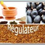 T36 regulateur