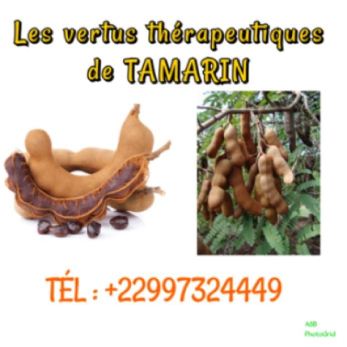 Tamarin asb