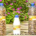 Tisane 55