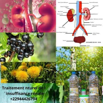 Comment soigner l´insuffisance rénale? Traitement naturel