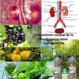 Tratamiento natural de la insuficiencia renal 300x300