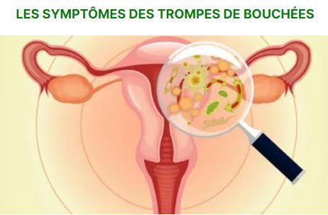 Trompes bouchées Remède au Roi des Herbes