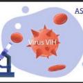 Virus vih