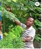 Zougnon et moringa copie copier 1