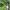 Zougnon et moringa copie copier copier 